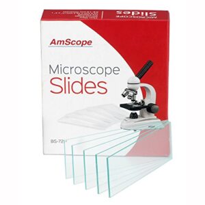 Portaobjetos De Microscopio